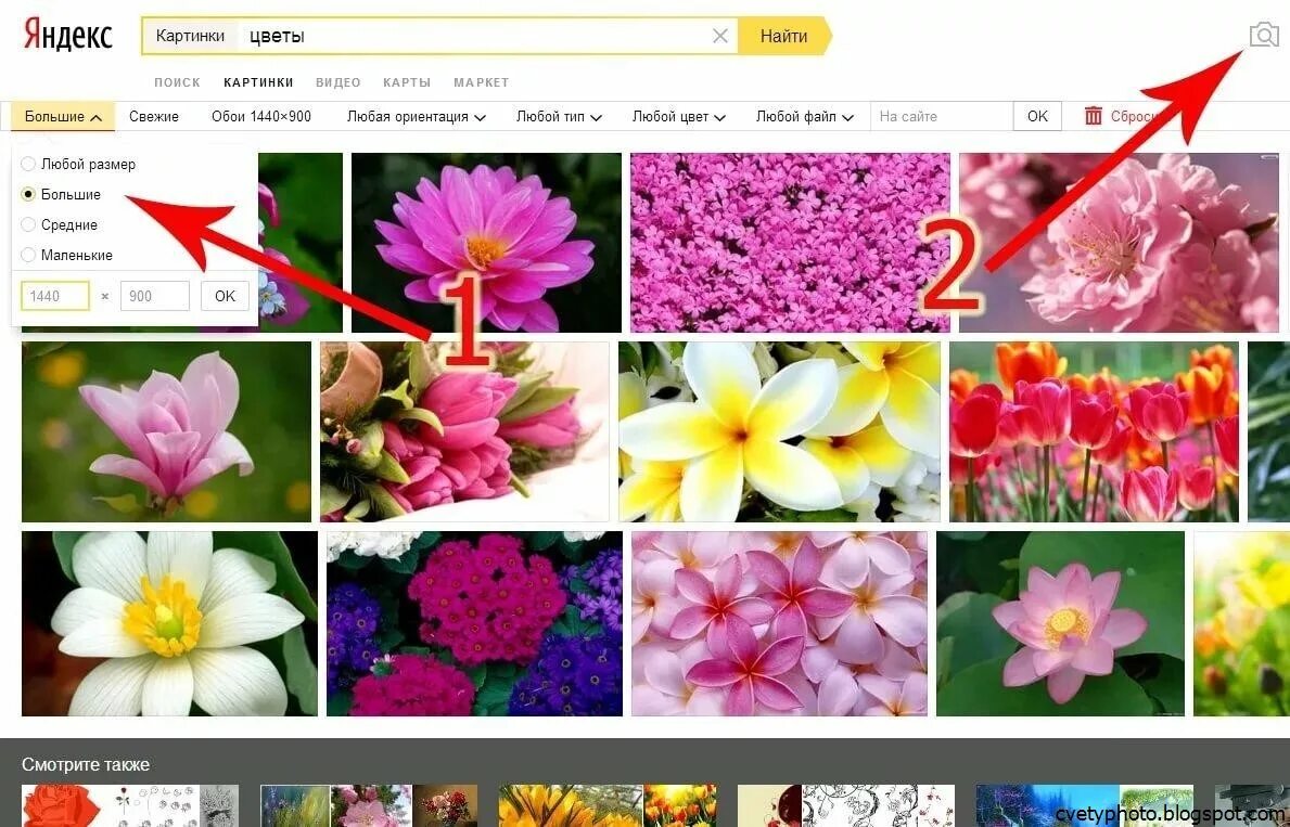 Найти картинку по картинке. Скачивание картинок с Яндекса.