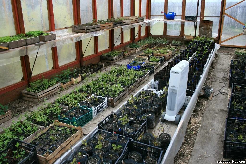 усадьба садовод