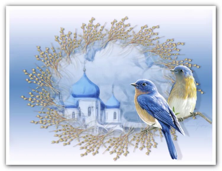Доброе утро картинки православные весенние. Птицы на фоне храма. Открытка с вербочкой. Открытки с вербой и Церковью.