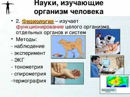 Функции органов и жизнедеятельности организма наука