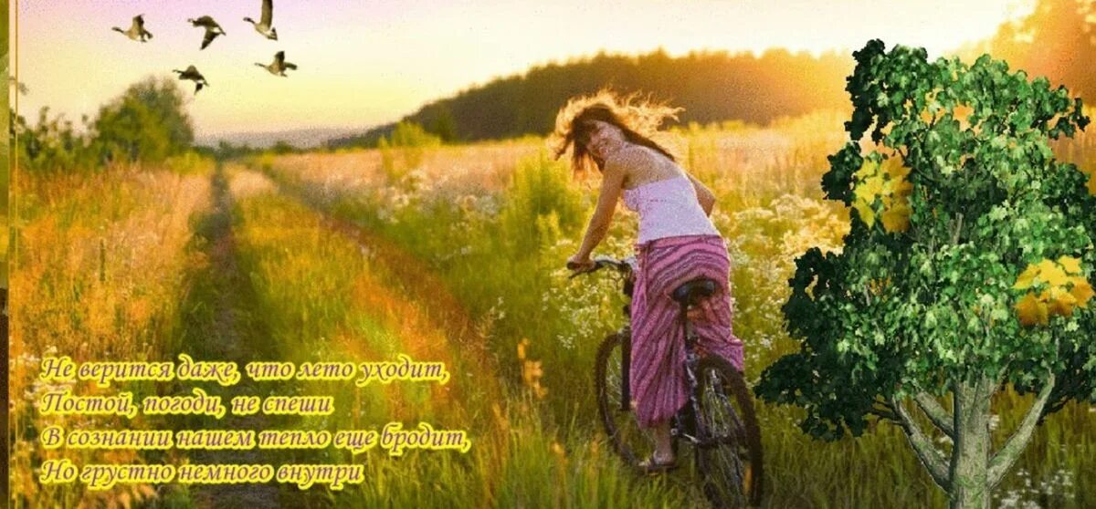 Прощай сережка снова здравствуй