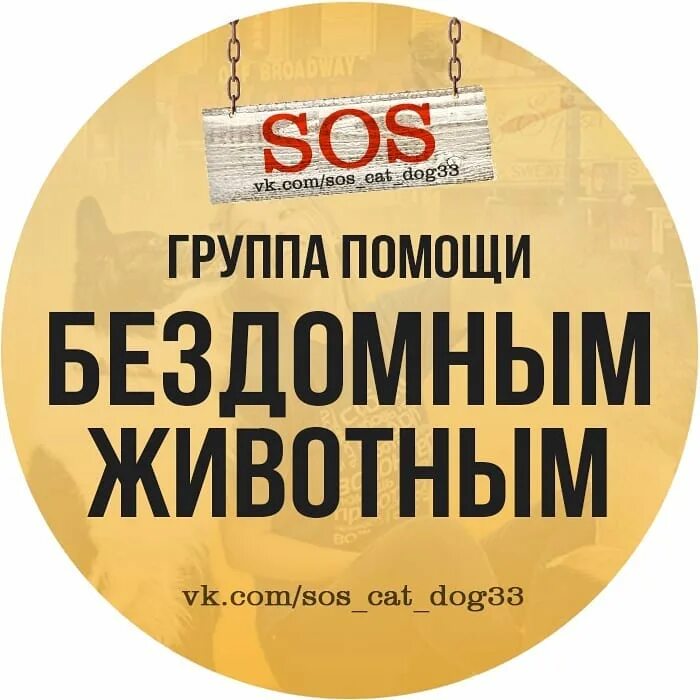 Sos помощь животным. эмблема помощь бездомным. срочно передержка. ситуация сос. сос помощь бездомным животным муром.