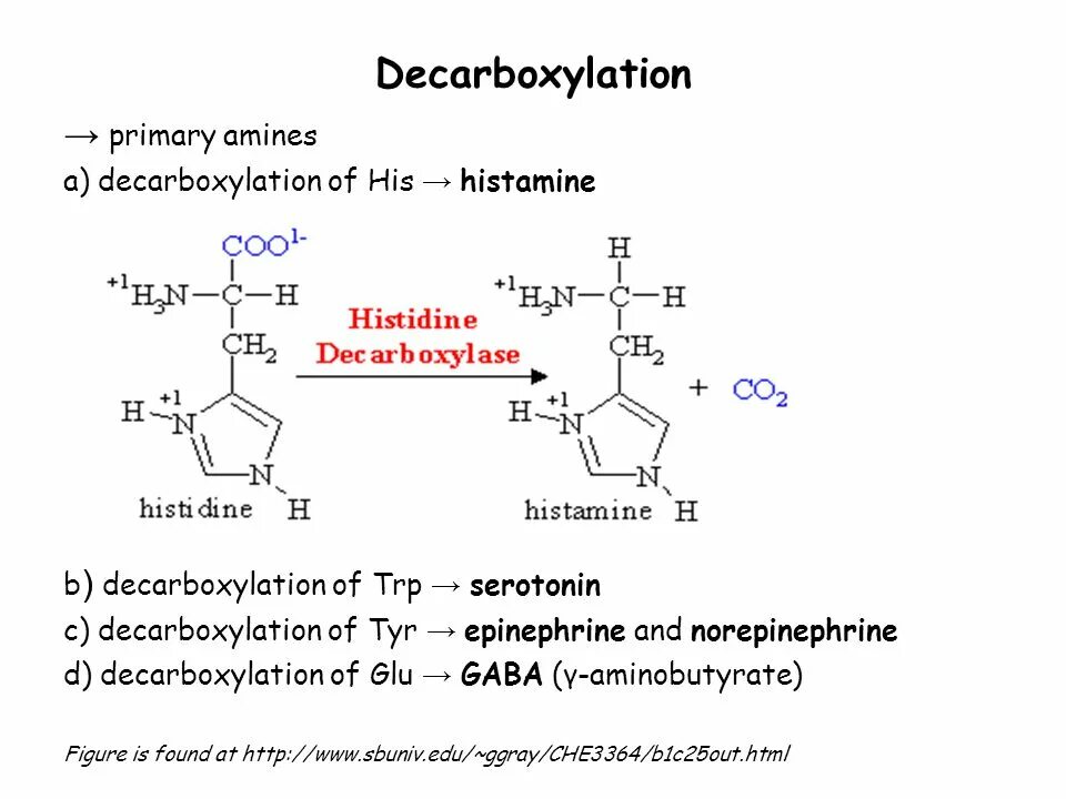 Decarboxylation of Amino acids. Decarboxylation of Histidine. Decarboxylase строение. Betta decarboxylation. Гистамин и гепарин