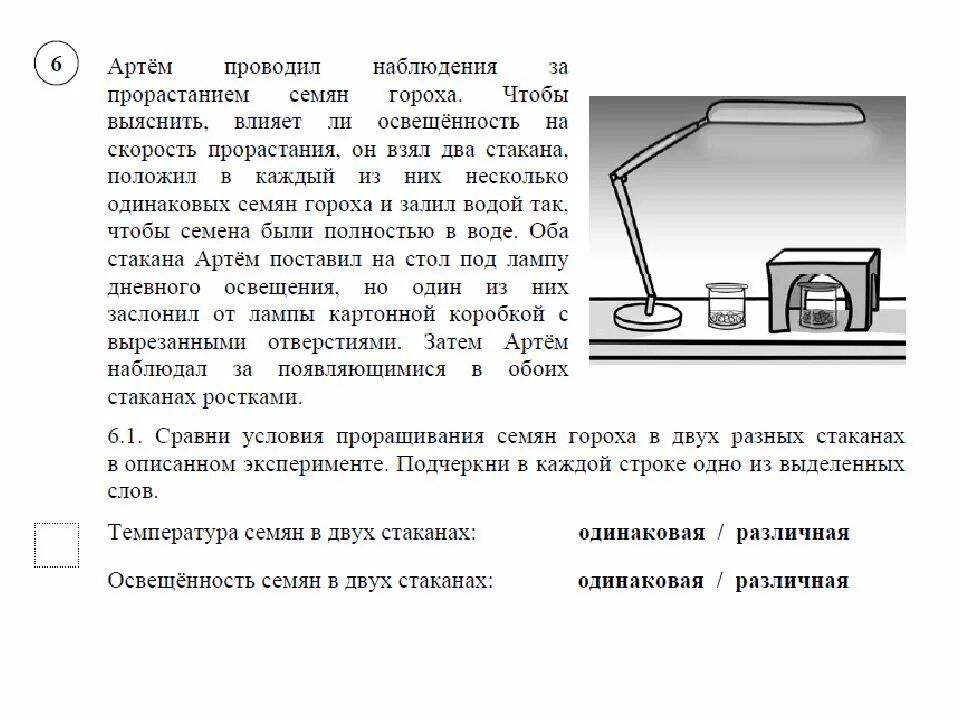 Влияет ли температура на прорастание семян гороха. Опыты из ВПР 4 класс окружающий мир. 4 Класс ВПР эксперимент. ВПР по окружающему миру 4 класс опыты. ВПР по окружающему миру опыты.