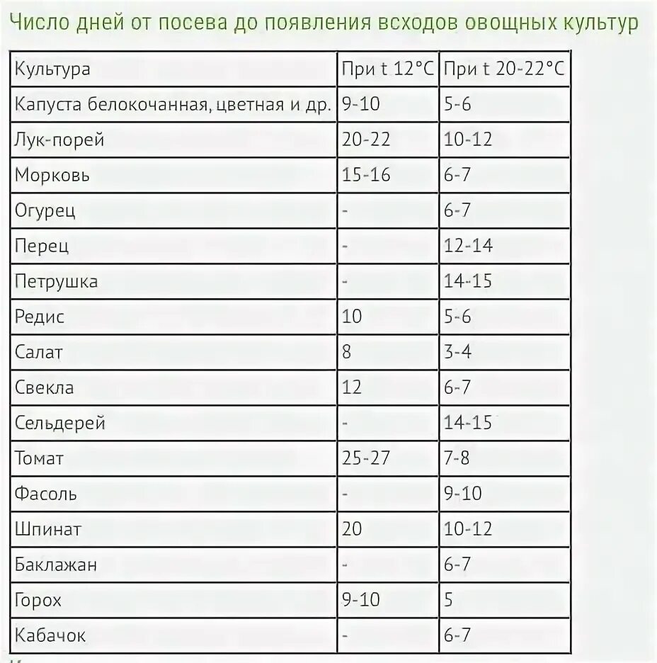 Срок всхожести семян таблица. Срок годности овощных семян таблица. Сроки всхожести семян таблица. Сроки всхожести семян овощей таблица. Таблица всхожести семян овощных.