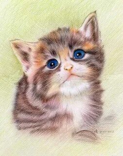 Как нарисовать кота цветными карандашами