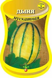 Дыня размер