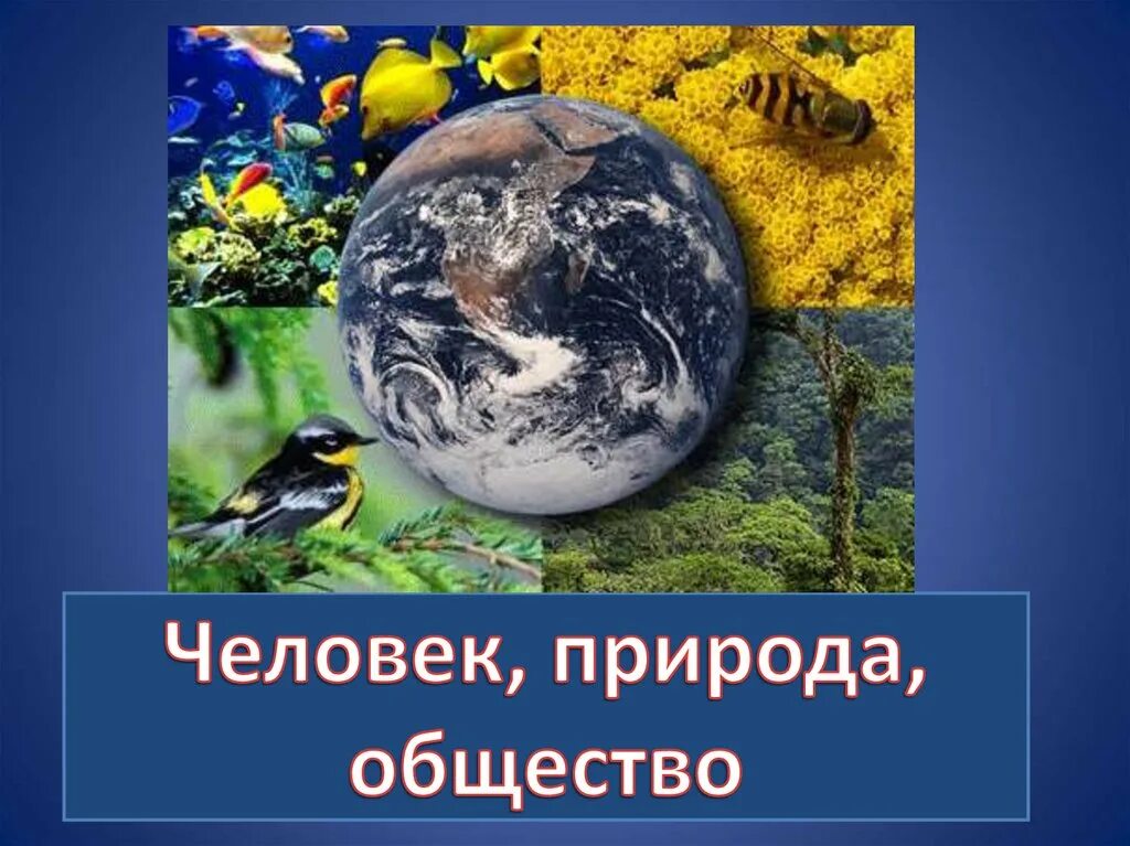 Человек часть общества человек часть природы. Человек общество природа. Человек общество природа Обществознание. Человек и природа Обществознание. Урок человек, общество, природа.