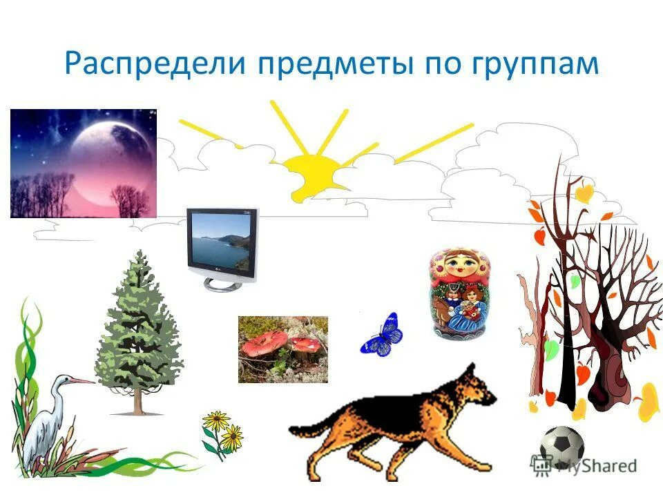 Распредели животных по группам. Распредели животные на группы. Овощи и фрукты для дошкольников. Распредели предметы на группы. Распредели предметы по группам.