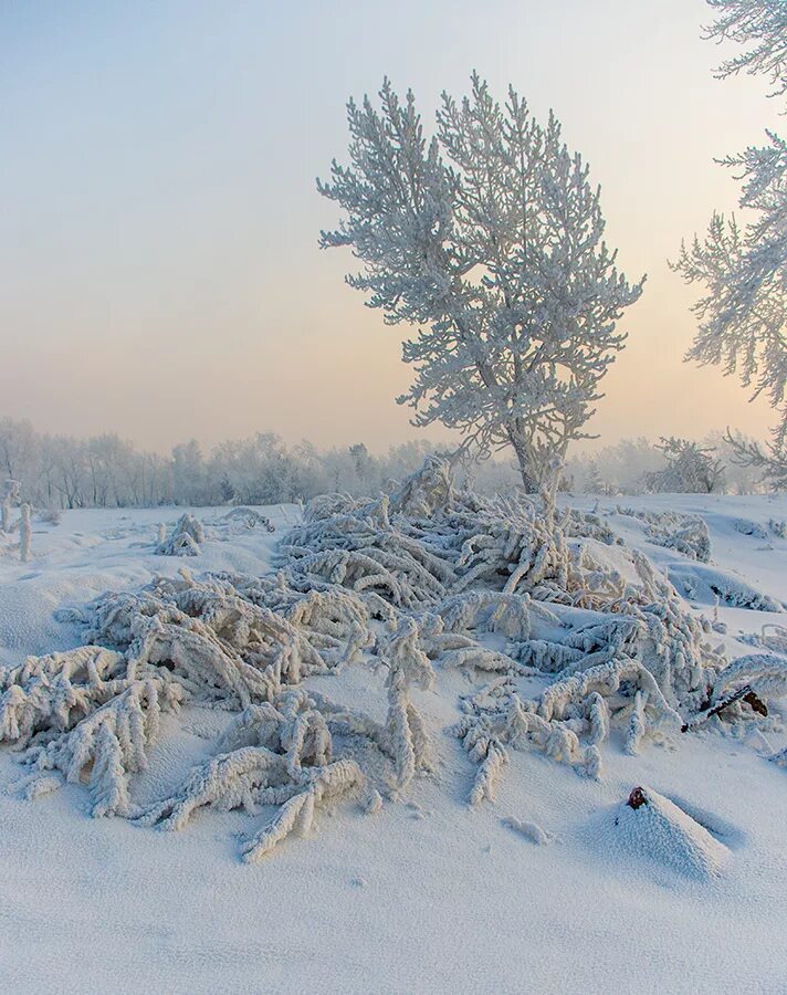 мороз трескучий. ноябрь иней в деревне. сочинение про зиму. ороз и солнце день чудечны й. под голубыми небесами великолепными коврами блестя на солнце.