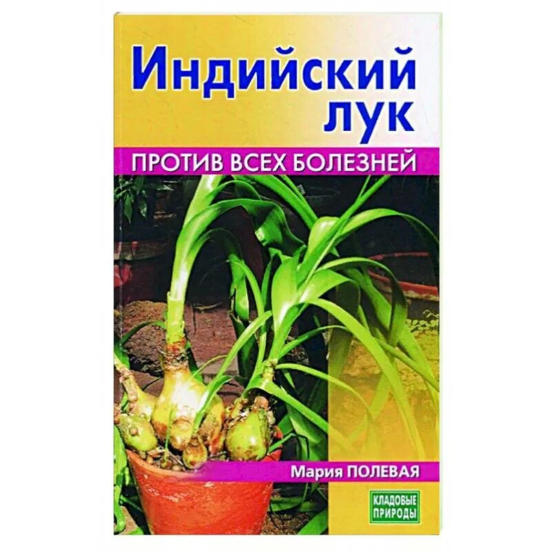 Индийский лук применение в народной медицине. Индийский лук птицемлечник хвостатый. Индийский лук птицемлечник. Индийский лук применение в народной медицине. Лук китайский.
