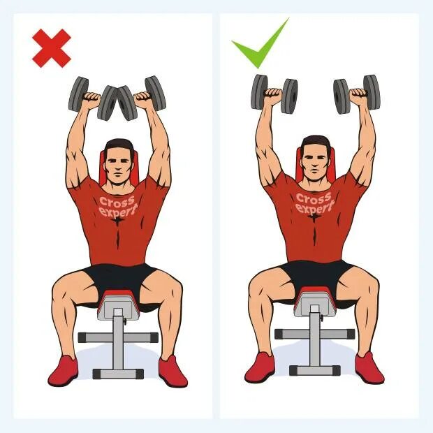 Жим гантелей сидя на плечи техника. Жим гантелей сидя техника. Жим гантелей вверх техника. Жим гантелей вверх на плечи.