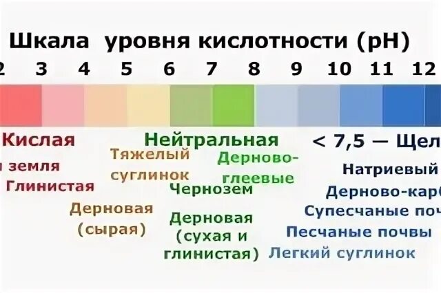 Какая кислотность для томатов. Кислотность почвы таблица PH. Шкала кислотности PH почвы. Таблица кислотности почвы для огородных растений. Шкала кислотности почвы для овощей.