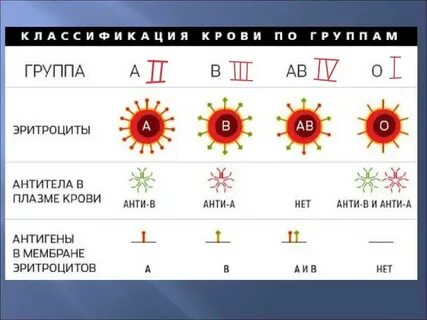 Что значит 4 группа