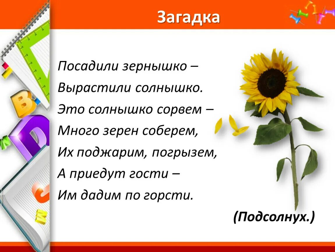 Посеешь какое окончание. Посадили зернышко вырастили солнышко. Загадака: посадили зёрнышко. Вырастили солнышко. Посадили зернышко вырастили солнышко ответ на загадку. Загадка посадили зернышко, выросло солнышко.