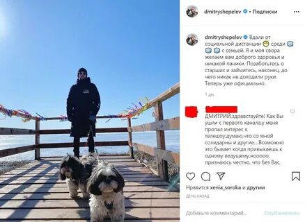 Какая порода собак у шепелева
