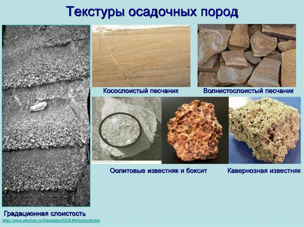 Привести примеры осадочных пород. Песчаник метаморфические горные породы. Структура осадочных горных пород. Текстура осадочных горных пород. Песчаник Горная порода структура.