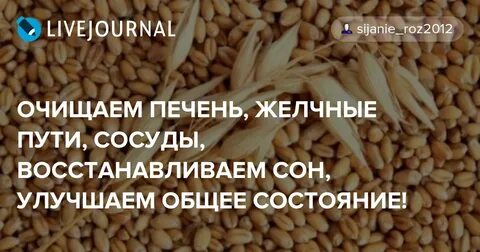 Почки печень овсом