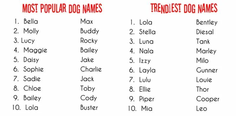 Dogs s names are. Имена для собак. Красивые имена для собак на русском. Имя для щенка мальчика. Клички собак на английском.