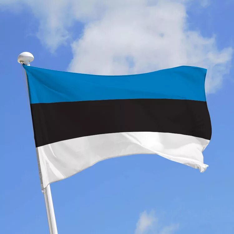 Флаг Эстонии. Республика Эстония флаг. Государственный флаг Эстонии. Флаг эстонской Республики.