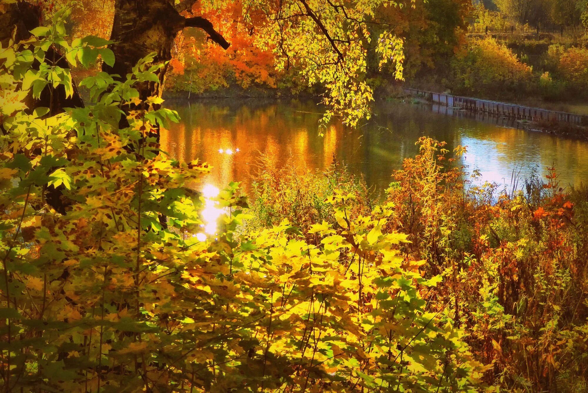 Осеннее утро. Утро осенью. Доброе утро осень природа. Хорошего дня природа осень.
