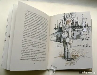 Митяев письмо
