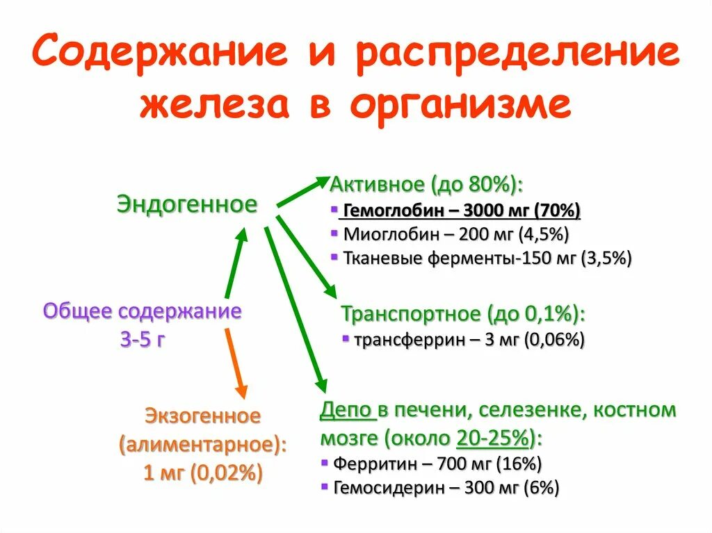 Что такое железо в организме. Железо в организме. Железы организма. Содержание железа в организме. Распределение железа в организме человека.