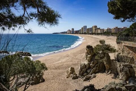 Playa de