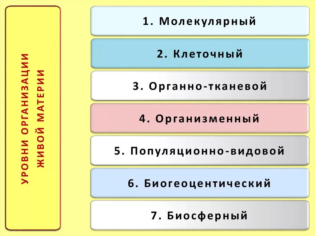 Биологические усложнения их организации. Уровни организации живого. уровни структурной организации организма. уровни организации живых организмов. уровни живой материи.