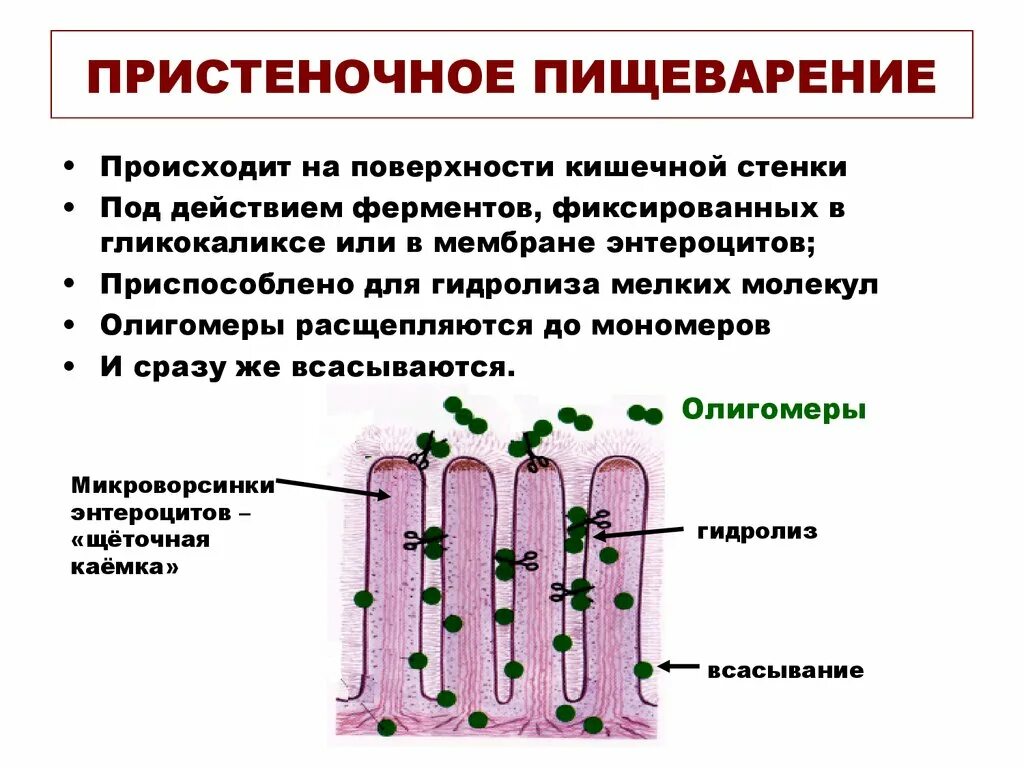 Что такое происходит у нас. Что такое происходит у нас