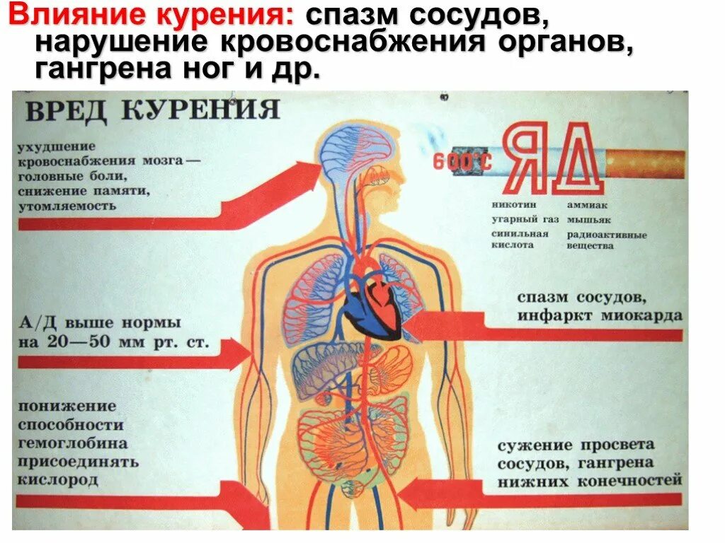 Вред табака на организм