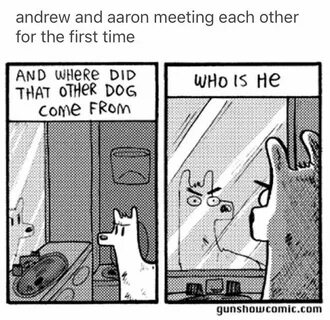 Where he came from