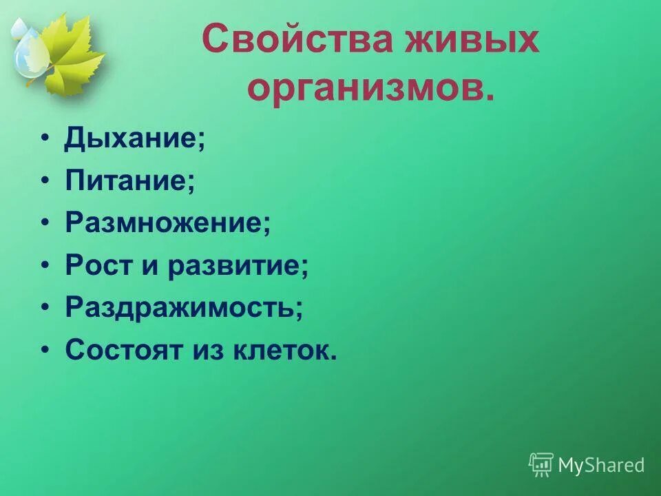 Свойства наблюдаемых живых организмов