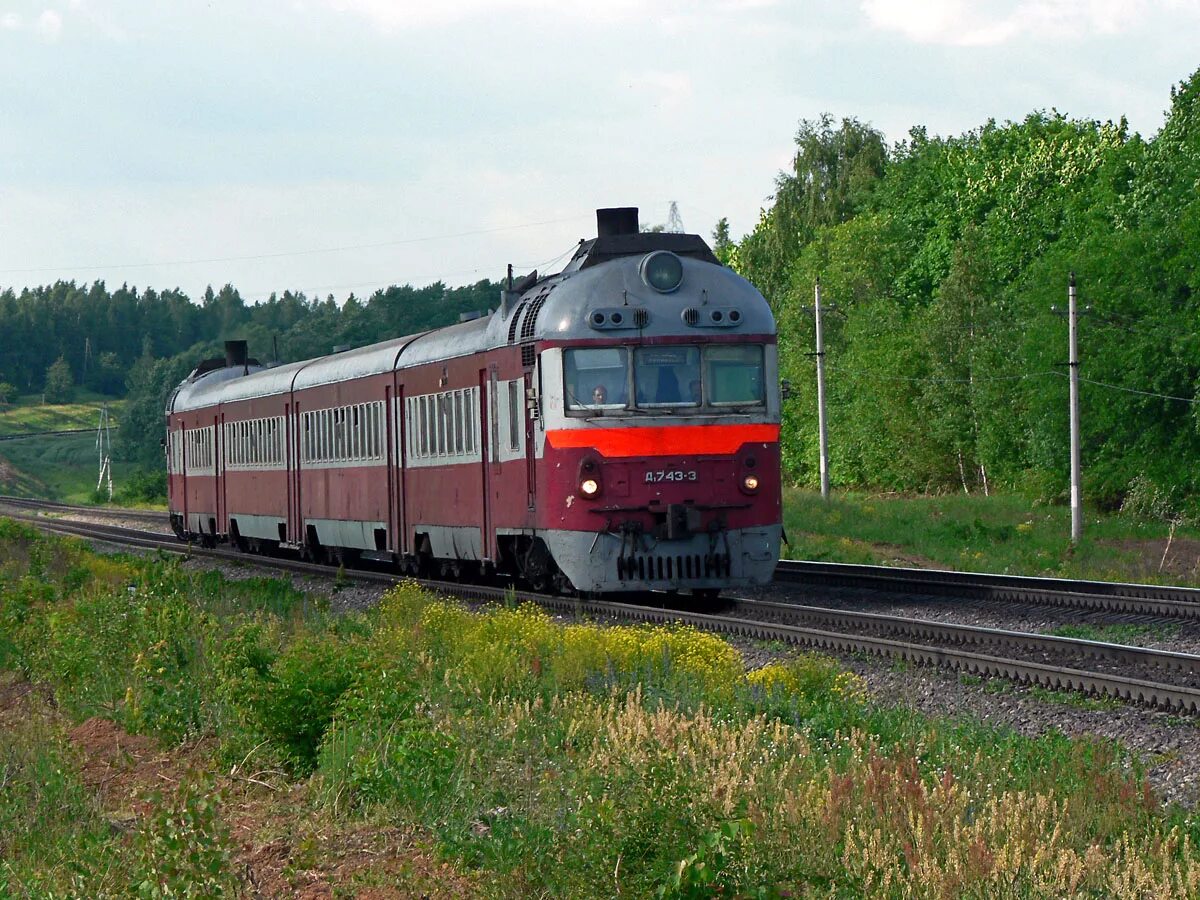 Д 1 11
