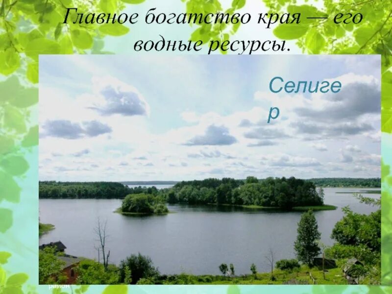 Богатства тверской области. Богатство нашего края. Водные богатства Тверского края. Водные богатства нашего края. Водные богатства Тверской области.