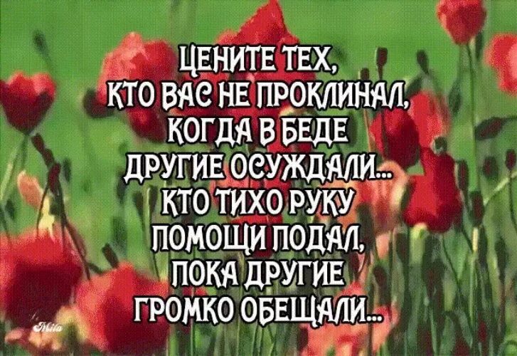 Сделай другую громче. Цените тех кто подал руку. Цените тех кто ценит и дорожит вами. Друзья которые ценят. Дорожите друзьями.