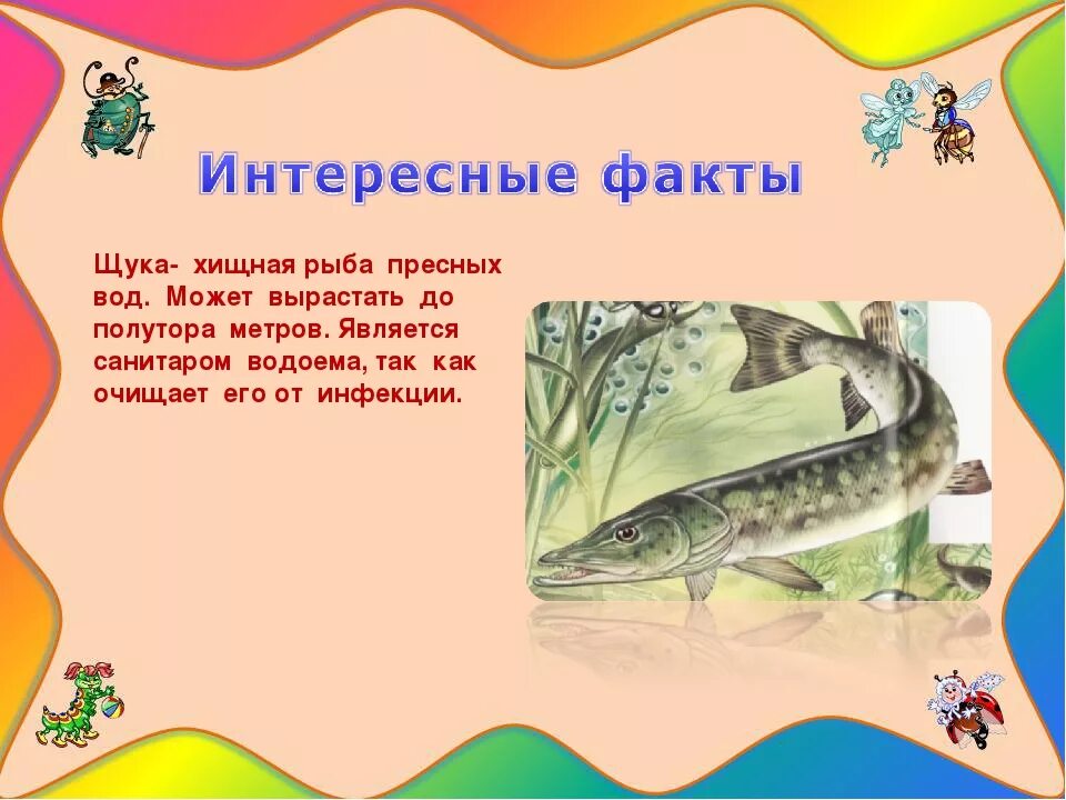 Интересные факты о рыбах. "Рыбы - это интересно". Интересные темы про рыб. Интересные факты о щуке.