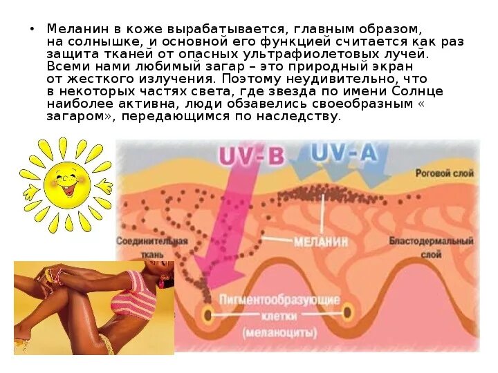 Защита кожи от ультрафиолетовых лучей. Выработка меланина в коже. Кожный пигмент меланин. Меланин кожа человека.