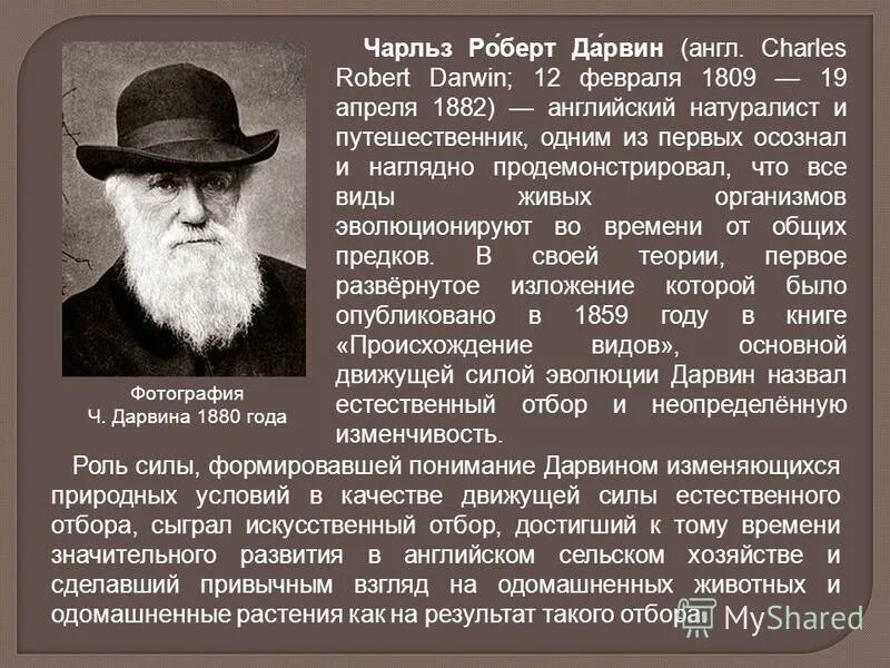 Сообщение о дарвине по биологии. Сообщение о чарльзе дарвине. Чарльз дарвин открытия в биологии. Доклад о чарльзе дарвине 5 класс биология. Чарльз дарвин вклад в биологию.