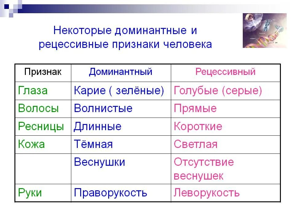 Какой цвет доминирующий