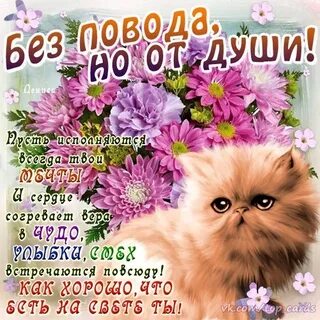 Просто хорошего пожелания хорошему человеку