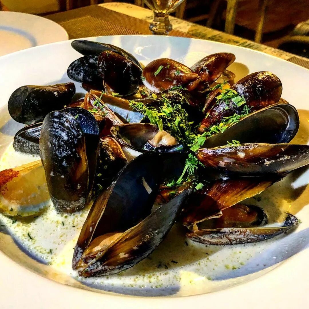 мидии дары моря. блюдо паэлья с мидиями. как приготовить мидии дома. морепродукты мидии капитан хорт.