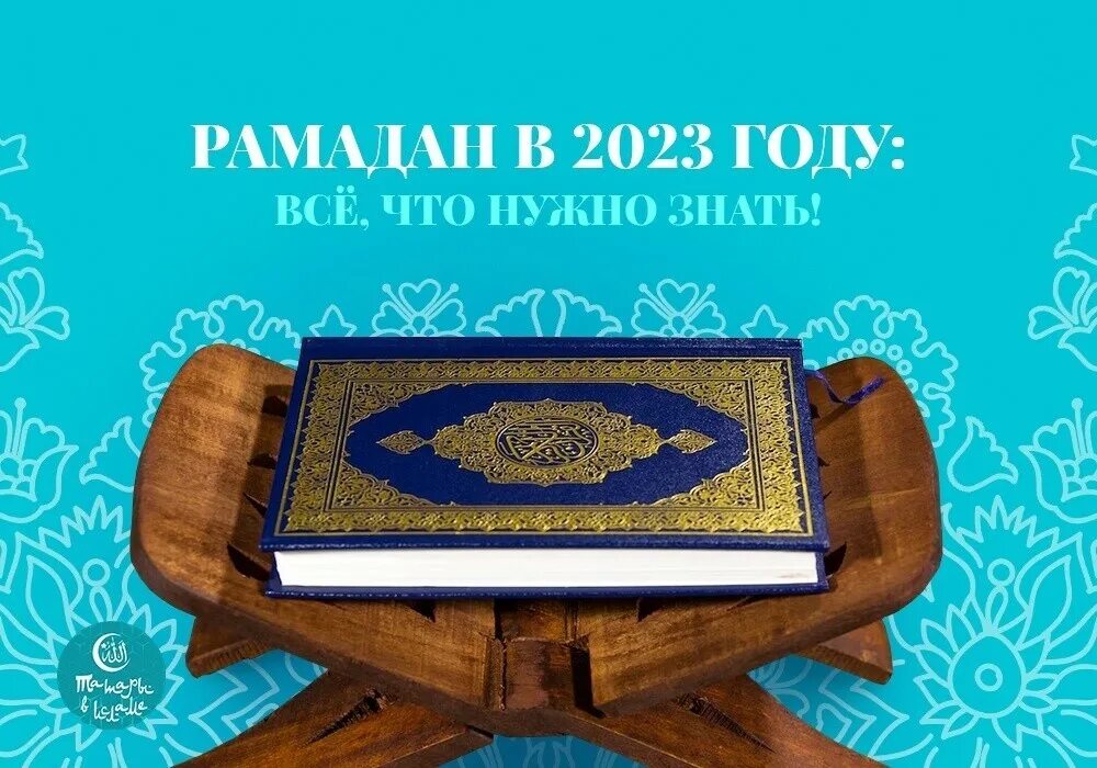 Новые татарские 2023