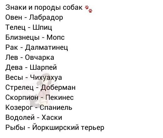 Овен собака мужчина. Гороскоп Овен собака. Овен собака женщина. Овен собака мужчина характеристика.