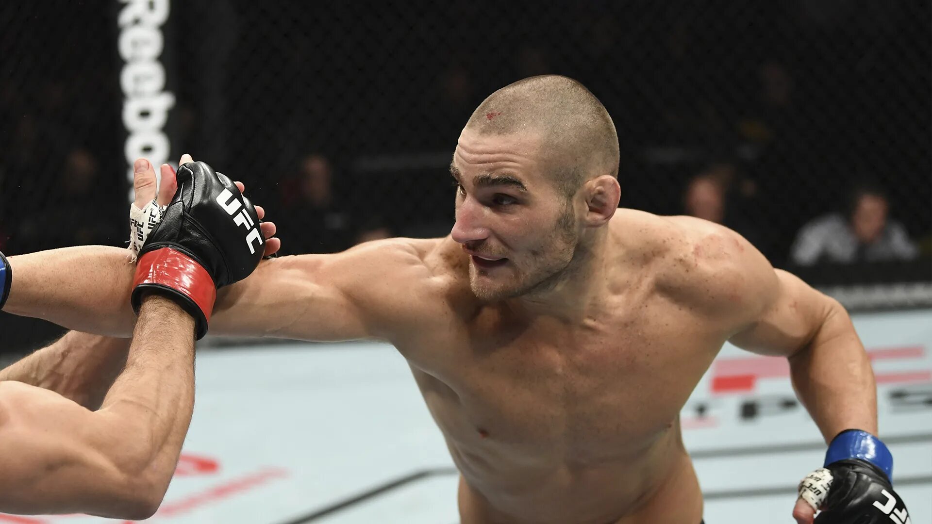 Ufc 276. Перейра боец юфс. Ufc стрикланд. Ufc стрикланд. Ufc 276 стрикленд перейра.