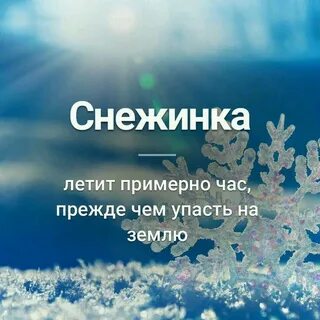Интересные факты о зиме
