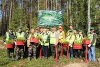Экология новгородской