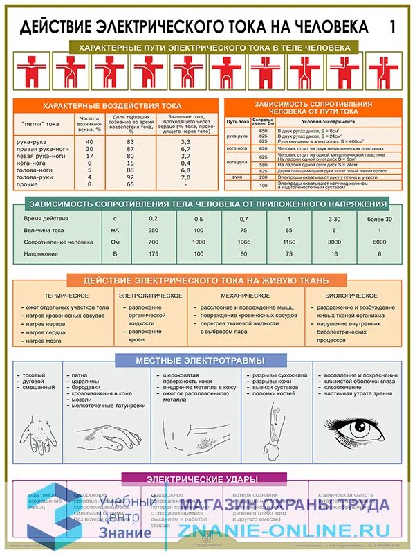 Вредное воздействие тока. Виды действия тока на организм человека. Воздействие электрического тока на организм человека охрана труда. Действие электрического тока на человека. Продолжительность воздействия тока на организм человека.