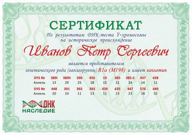 Днк екатеринбург. Днк тест на национальность. результаты днк теста на национальность. сертификат днк. тест на родословную по днк.