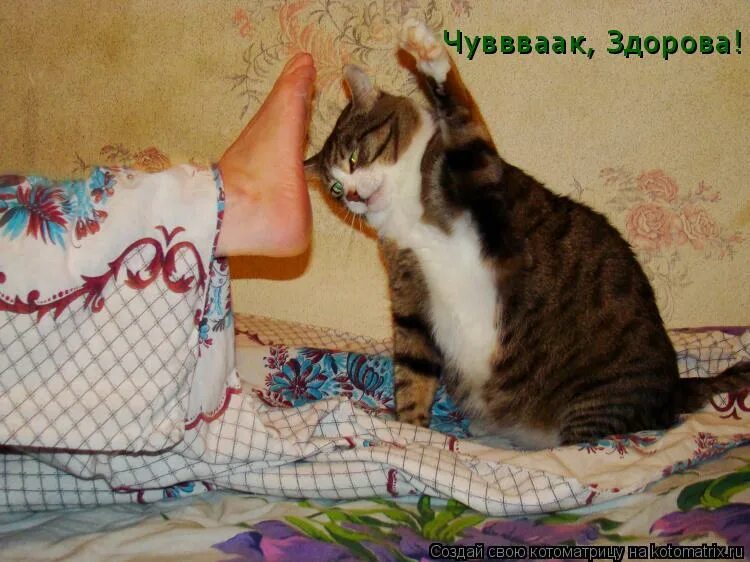 давай здесь включим